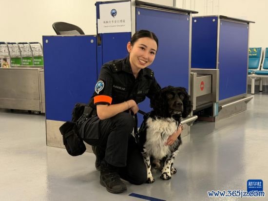 这是领犬员王晓萌和她的搭档史宾格猎犬史蒂夫(6月8日摄)。 新华社发(郭辛摄)