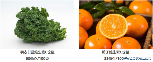 羽衣甘蓝为何被称为“超等食品”