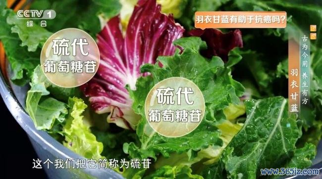 羽衣甘蓝为何被称为“超等食品” 养分丰富护健康