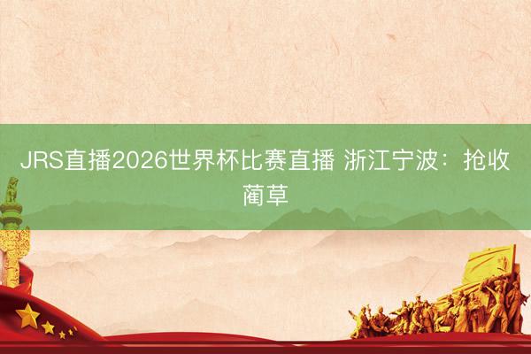 JRS直播2026世界杯比赛直播 浙江宁波:抢收蔺草