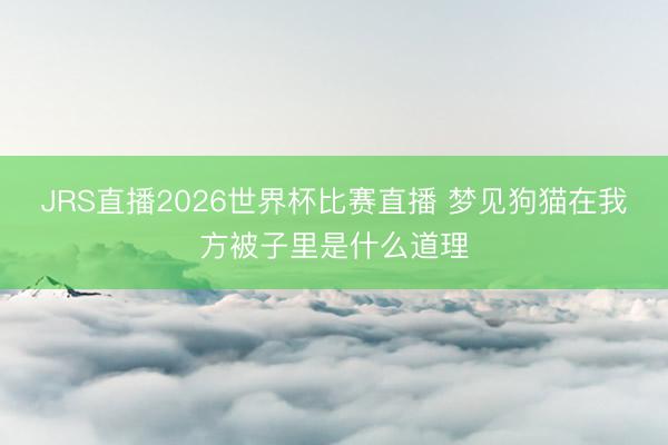 JRS直播2026世界杯比赛直播 梦见狗猫在我方被子里是什么道理
