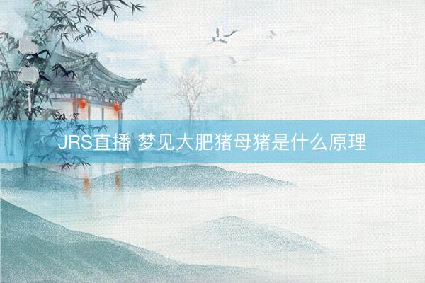 JRS直播 梦见大肥猪母猪是什么原理