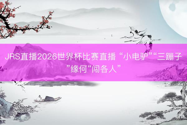 JRS直播2026世界杯比赛直播 “小电驴”“三蹦子”缘何“闯各人”